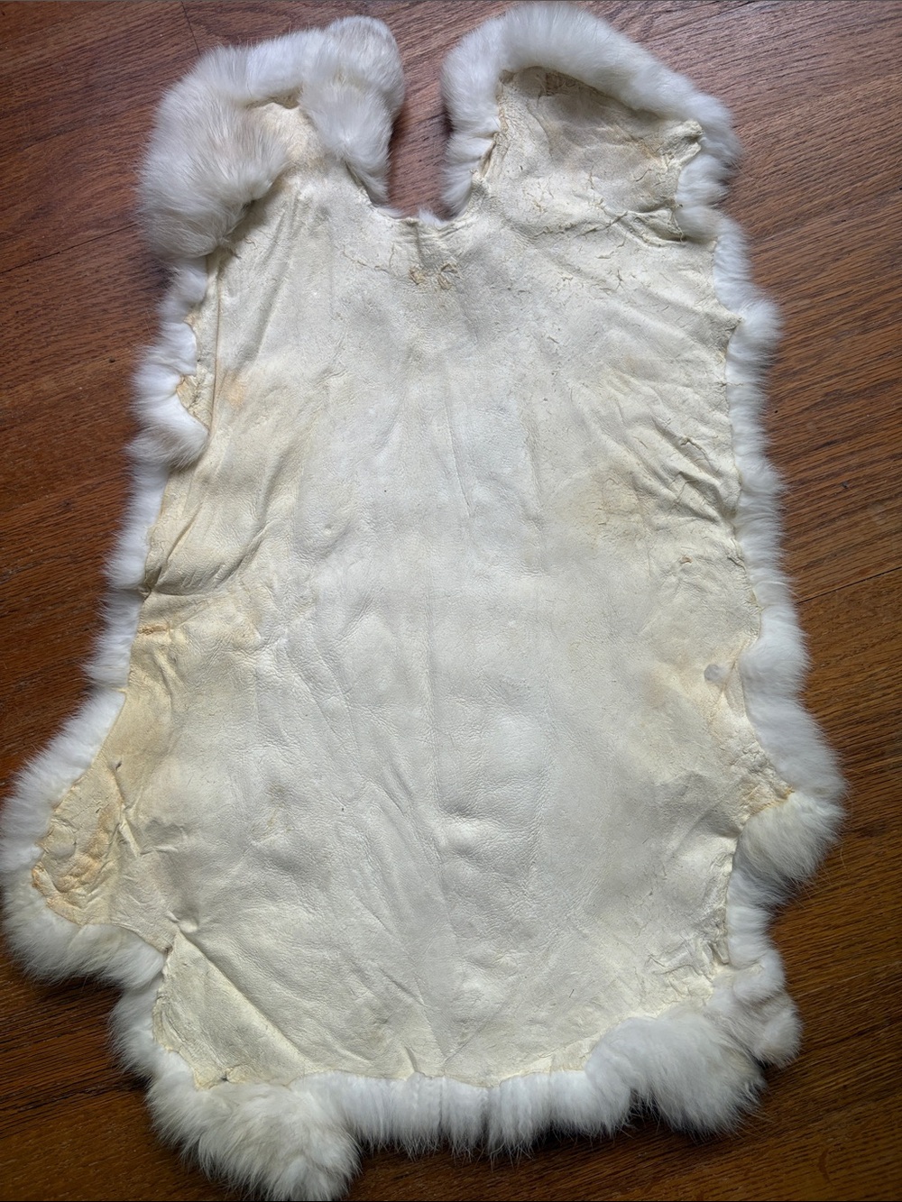 B0070 Natural Cream Rabbit Fur Pelt Soft Plush Texture - Picture 2 of 4